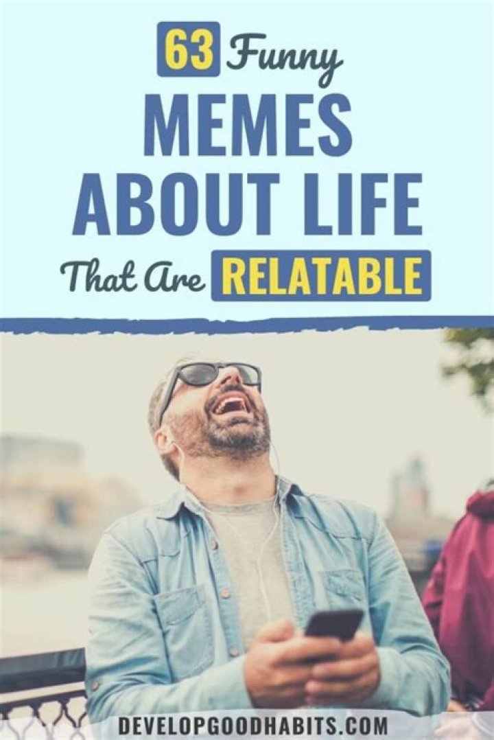 31 Funny and Relatable Memes About Life |