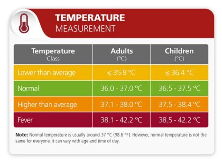 Can You Use a Meat Thermometer for a Fever? We Wouldn't Recommend It