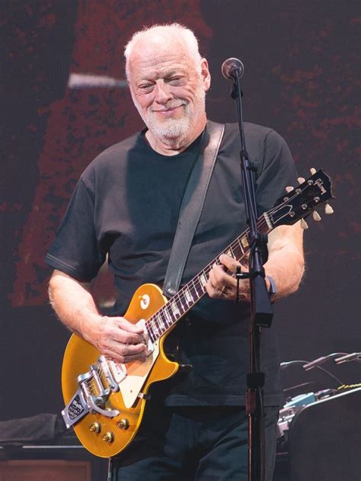 David Gilmour Net Worth, Income, Salary, Earnings, Biography, How much money make? |