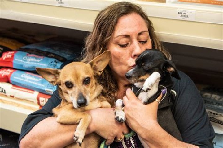 Discover The Legacy Of Jama Hedgecoth, Noah's Animal Rescue Founder