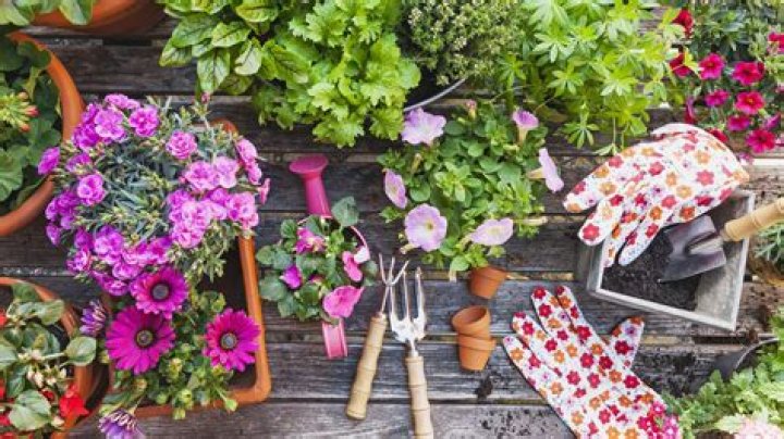 Discover The Secrets Of Gardening Success With The Innovative Kellner Greenhouse