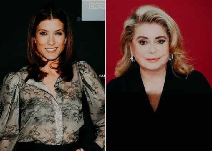 Everything About Kate Walsh S Connection To