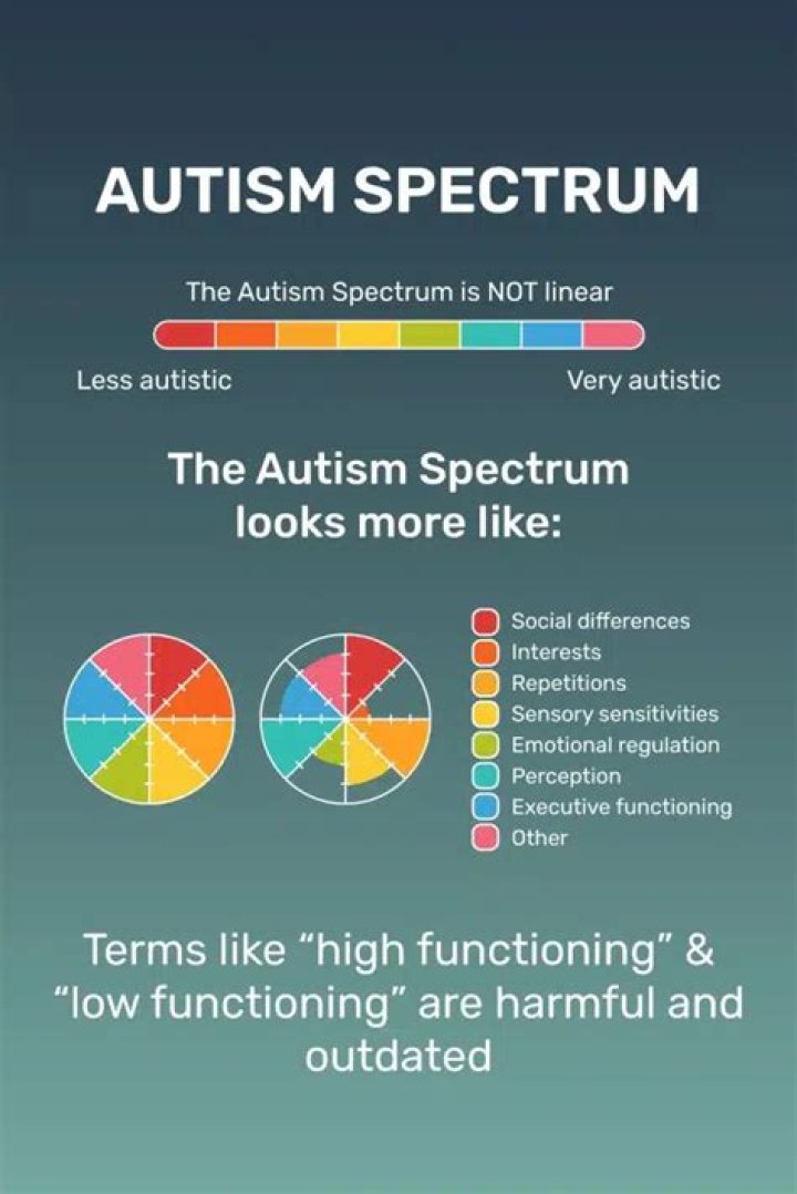 Exploring The Spectrum Of "Is Reacher Autistic?"