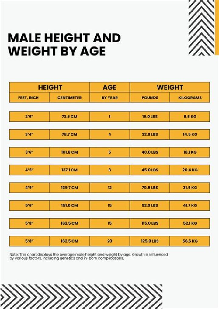 Height, Weight, Age, Spouse, Family A Comprehensive Overview