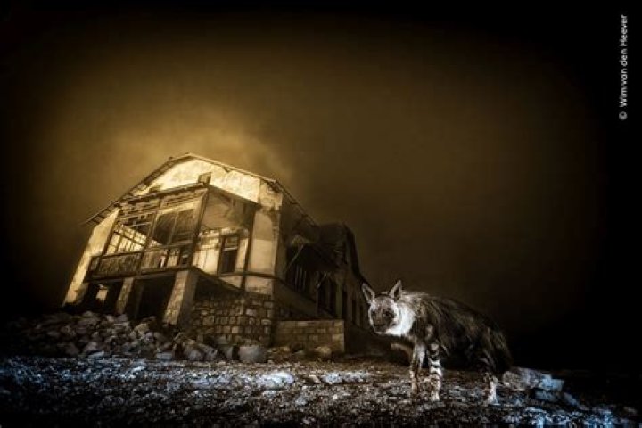 How This Photographer Captured Millions