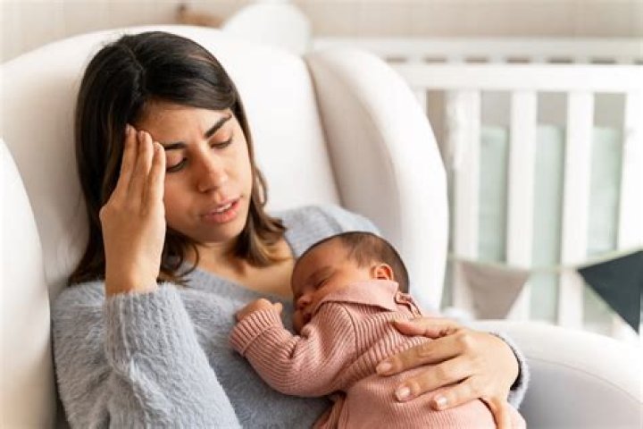 Nikki Bellas Postpartum Depression Takes A Toll On Total Bellas Hollywood Life