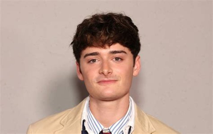 Noah Schnapp ·