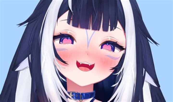 Shylily Face Reveal On Twitchcon Nationality Real Identity And Age