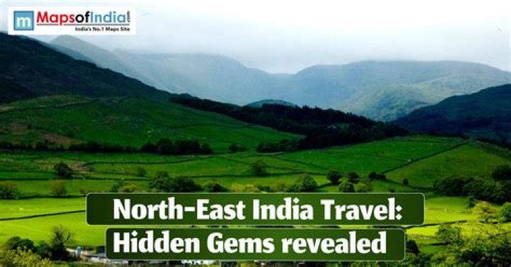 Surprising Insights And Hidden Gems Revealed