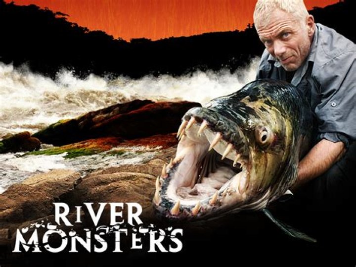 The Reason River Monsters Ended -