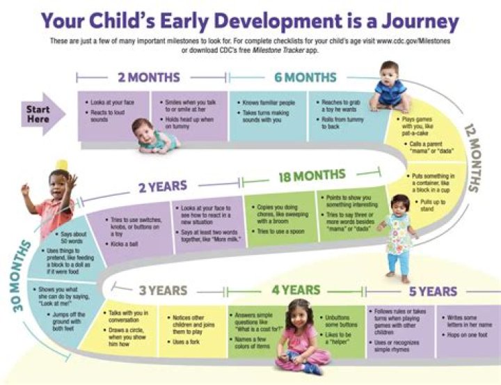 Uncovering Developmental Milestones And Family Dynamics