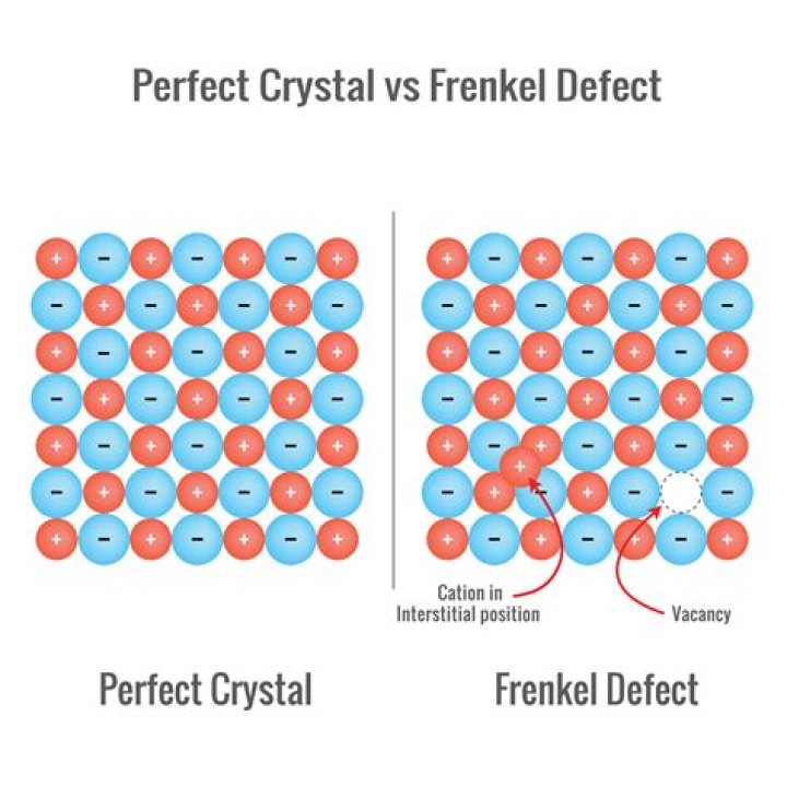 Unveiling Ariel Frenkel: An In-Depth Exploration