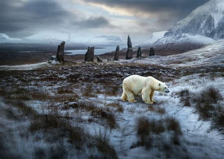 Unveiling The Age Of Pokey Bear: Discoveries And Insights