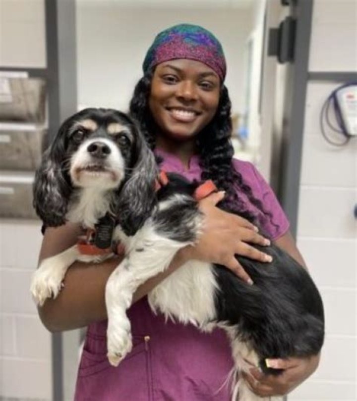 Veterinarian Locke Taylor From Richmond Dies Of