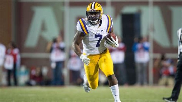 Where did Leonard Fournette go to college and high school? ·