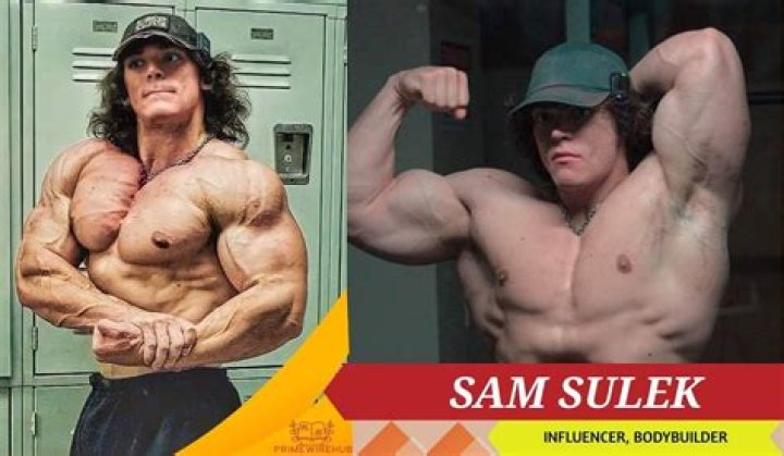 Where Is Sam Sulek Now?