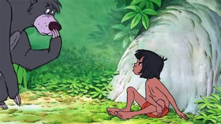 Who plays Mowgli in the Jungle Book 2016? What does he look like now? Fri 21 December 2018 11:3